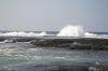 DSC_0077_01.jpg