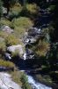 Filename=DSC_0406.jpg
Filesize=1756KiB
Dimensions=3090x4643
Date added=Jan 06, 2016 DSC_0406.jpg