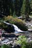 Filename=DSC_0411.jpg
Filesize=1998KiB
Dimensions=3089x4644
Date added=Jan 06, 2016 DSC_0411.jpg