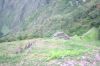 Filename=DSC_0278.jpg
Filesize=3684KiB
Dimensions=6016x4016
Date added=Jan 31, 2016 DSC_0278.jpg
