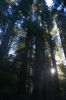 Filename=DSC_0044_01.jpg
Filesize=1987KiB
Dimensions=3080x4640
Date added=Jan 06, 2016 DSC_0044_01.jpg
