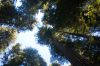 Filename=DSC_0046_01.jpg
Filesize=2133KiB
Dimensions=4640x3080
Date added=Jan 06, 2016 DSC_0046_01.jpg