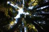 Filename=DSC_0047_01.jpg
Filesize=1838KiB
Dimensions=4640x3080
Date added=Jan 06, 2016 DSC_0047_01.jpg