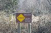 Filename=DSC_0050_01.jpg
Filesize=2065KiB
Dimensions=4640x3080
Date added=Jan 06, 2016 DSC_0050_01.jpg