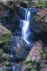 Filename=DSC_0056_01.jpg
Filesize=2982KiB
Dimensions=3080x4640
Date added=Jan 06, 2016 DSC_0056_01.jpg