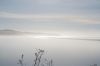 Filename=DSC_0059_01.jpg
Filesize=501KiB
Dimensions=4640x3080
Date added=Jan 06, 2016 DSC_0059_01.jpg