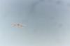 Filename=SpaceShipOne35.jpg
Filesize=127KiB
Dimensions=1536x1024
Date added=Jul 19, 2007 SpaceShipOne35.jpg