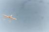 Filename=SpaceShipOne37.jpg
Filesize=136KiB
Dimensions=1536x1024
Date added=Jul 19, 2007 SpaceShipOne37.jpg