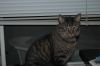 Filename=dsc_0311.jpg
Filesize=259KiB
Dimensions=2256x1496
Date added=Oct 28, 2007 dsc_0311.jpg