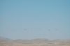 dsc_0916.jpg