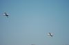 dsc_0949.jpg