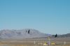 Filename=dsc_0799.jpg
Filesize=470KiB
Dimensions=3008x2000
Date added=Jul 06, 2015 dsc_0799.jpg