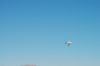Filename=dsc_0852.jpg
Filesize=241KiB
Dimensions=3008x2000
Date added=Jul 06, 2015 dsc_0852.jpg