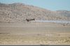 Filename=dsc_0999.jpg
Filesize=624KiB
Dimensions=3008x2000
Date added=Jul 06, 2015 dsc_0999.jpg
