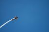 Filename=dsc_1001.jpg
Filesize=332KiB
Dimensions=3008x2000
Date added=Jul 06, 2015 dsc_1001.jpg