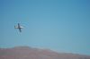 dsc_0058.jpg