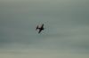 DSC_0019.jpg