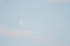 DSC_0399_01.jpg