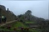 Filename=DSC_0301.jpg
Filesize=1992KiB
Dimensions=6041x4032
Date added=Jan 31, 2016 DSC_0301.jpg