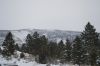 Filename=DSC_0831_01.jpg
Filesize=1029KiB
Dimensions=4640x3080
Date added=Jan 06, 2016 DSC_0831_01.jpg