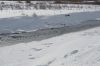 Filename=DSC_0850_01.jpg
Filesize=1214KiB
Dimensions=4640x3080
Date added=Jan 06, 2016 DSC_0850_01.jpg