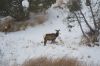 Filename=DSC_0859_01.jpg
Filesize=1493KiB
Dimensions=4640x3080
Date added=Jan 06, 2016 DSC_0859_01.jpg