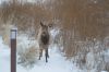 Filename=DSC_0860_01.jpg
Filesize=1337KiB
Dimensions=4640x3080
Date added=Jan 06, 2016 DSC_0860_01.jpg