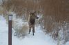 Filename=DSC_0861_01.jpg
Filesize=1594KiB
Dimensions=4640x3080
Date added=Jan 06, 2016 DSC_0861_01.jpg