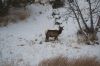Filename=DSC_0862_01.jpg
Filesize=1399KiB
Dimensions=4640x3080
Date added=Jan 06, 2016 DSC_0862_01.jpg