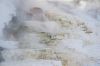 Filename=DSC_0867_01.jpg
Filesize=784KiB
Dimensions=4640x3080
Date added=Jan 06, 2016 DSC_0867_01.jpg