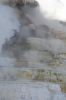 Filename=DSC_0869_01.jpg
Filesize=851KiB
Dimensions=3080x4640
Date added=Jan 06, 2016 DSC_0869_01.jpg