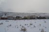 Filename=DSC_0880_01.jpg
Filesize=1001KiB
Dimensions=4640x3080
Date added=Jan 06, 2016 DSC_0880_01.jpg