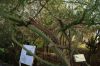 Filename=DSC_0080.jpg
Filesize=4773KiB
Dimensions=6016x4016
Date added=Jan 04, 2016 DSC_0080.jpg