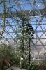 Filename=DSC_0082.jpg
Filesize=4573KiB
Dimensions=4016x6016
Date added=Jan 04, 2016 DSC_0082.jpg