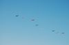 Dateiname=dsc_2015.jpg
Dateigröße=27KB
Abmessungen: 1280x851
hinzugefügt am: 18. September 2008 dsc_2015.jpg
