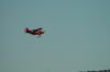 Filename=dsc_0104.jpg
Filesize=218KiB
Dimensions=3008x2000
Date added=Jul 08, 2015 dsc_0104.jpg