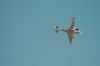 Filename=dsc_0116.jpg
Filesize=224KiB
Dimensions=3008x2000
Date added=Jul 08, 2015 dsc_0116.jpg