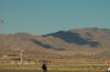 Filename=dsc_0168.jpg
Filesize=389KiB
Dimensions=3008x2000
Date added=Jul 08, 2015 dsc_0168.jpg