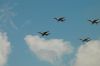 Filename=dsc_0206.jpg
Filesize=223KiB
Dimensions=3008x2000
Date added=Jul 08, 2015 dsc_0206.jpg