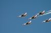 Filename=dsc_0314.jpg
Filesize=339KiB
Dimensions=3008x2000
Date added=Jul 08, 2015 dsc_0314.jpg