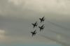 Filename=dsc_0338.jpg
Filesize=221KiB
Dimensions=3008x2000
Date added=Jul 08, 2015 dsc_0338.jpg