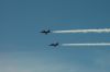 Filename=dsc_0499.jpg
Filesize=222KiB
Dimensions=3008x2000
Date added=Jul 08, 2015 dsc_0499.jpg