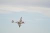Filename=DSC_0317_01.jpg
Filesize=564KiB
Dimensions=4640x3080
Date added=Jul 06, 2015 DSC_0317_01.jpg