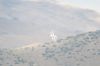 Filename=DSC_0336_01.jpg
Filesize=1028KiB
Dimensions=4640x3080
Date added=Jul 06, 2015 DSC_0336_01.jpg